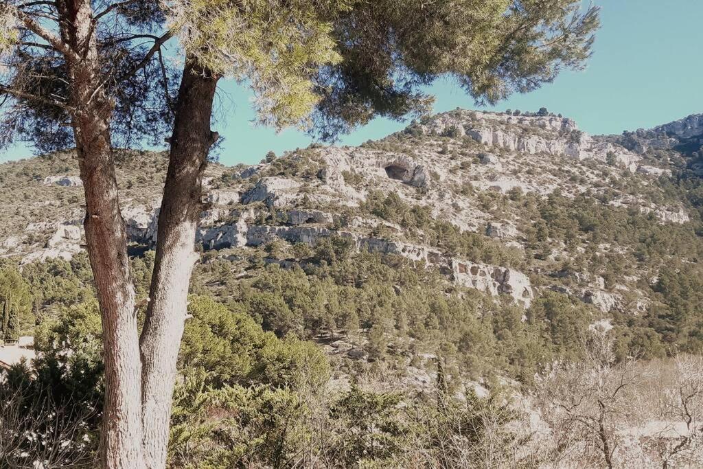 Vue Panoramique Sur Le Chateau,Montagne Et Grottes Fontaine-de-Vaucluse Exterior photo