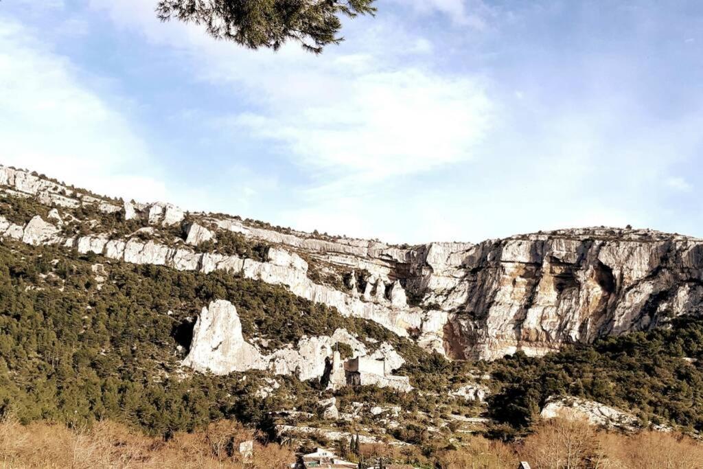 Vue Panoramique Sur Le Chateau,Montagne Et Grottes Fontaine-de-Vaucluse Exterior photo